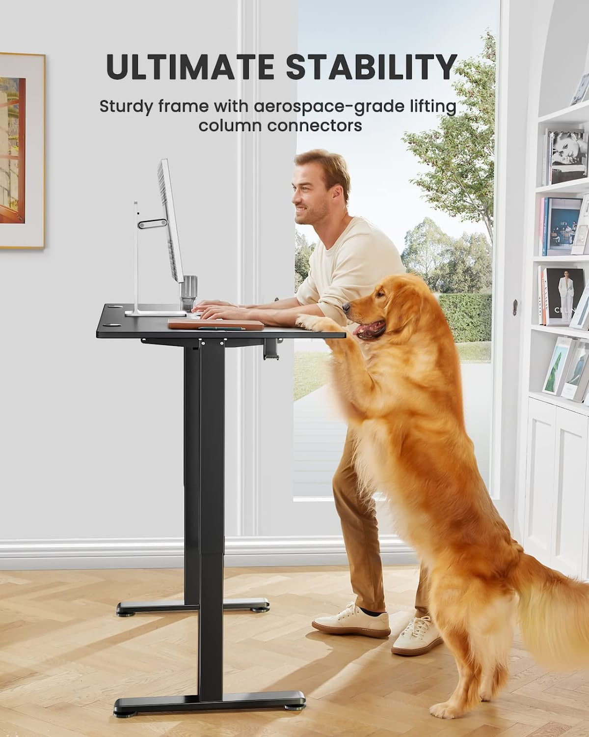 ErGear Electric Standing Desk